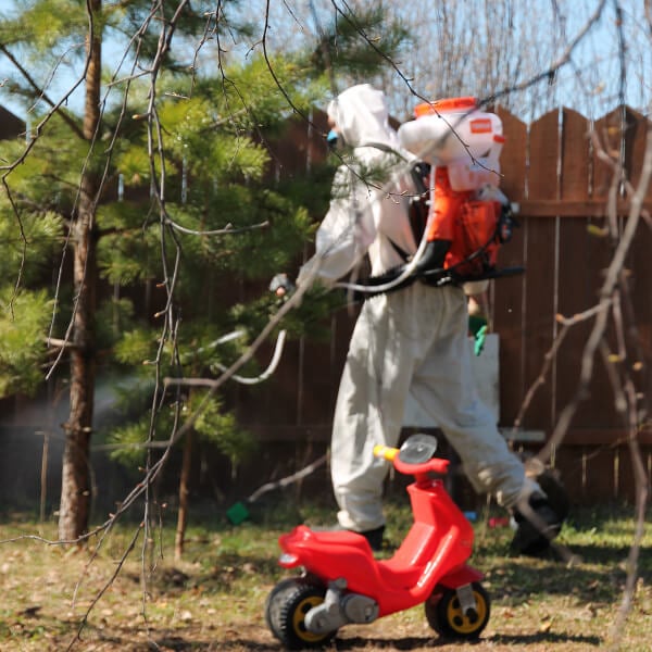 Обработка участка от клещей в Рудном?